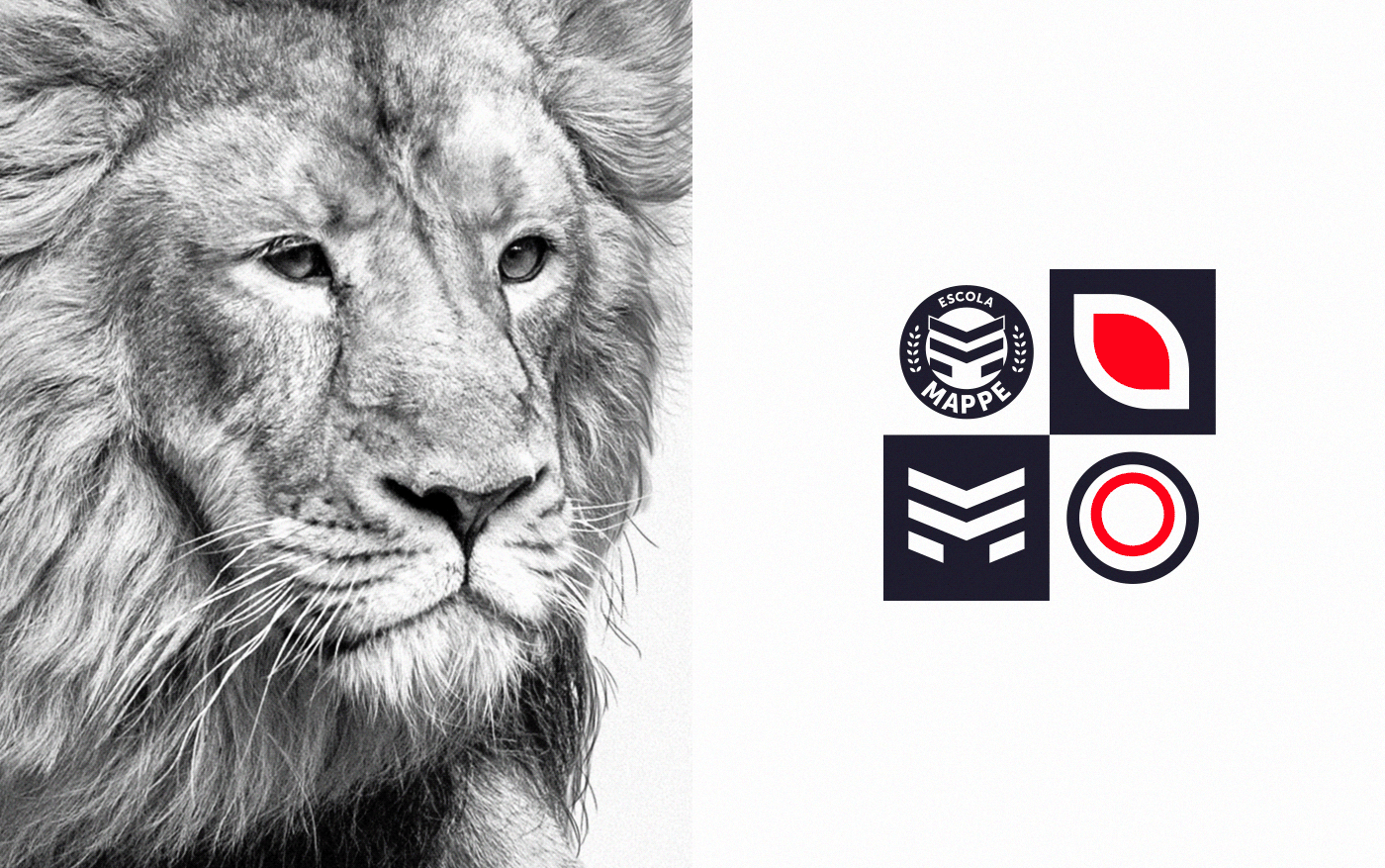 brand branding  children college design escola lion logo red school