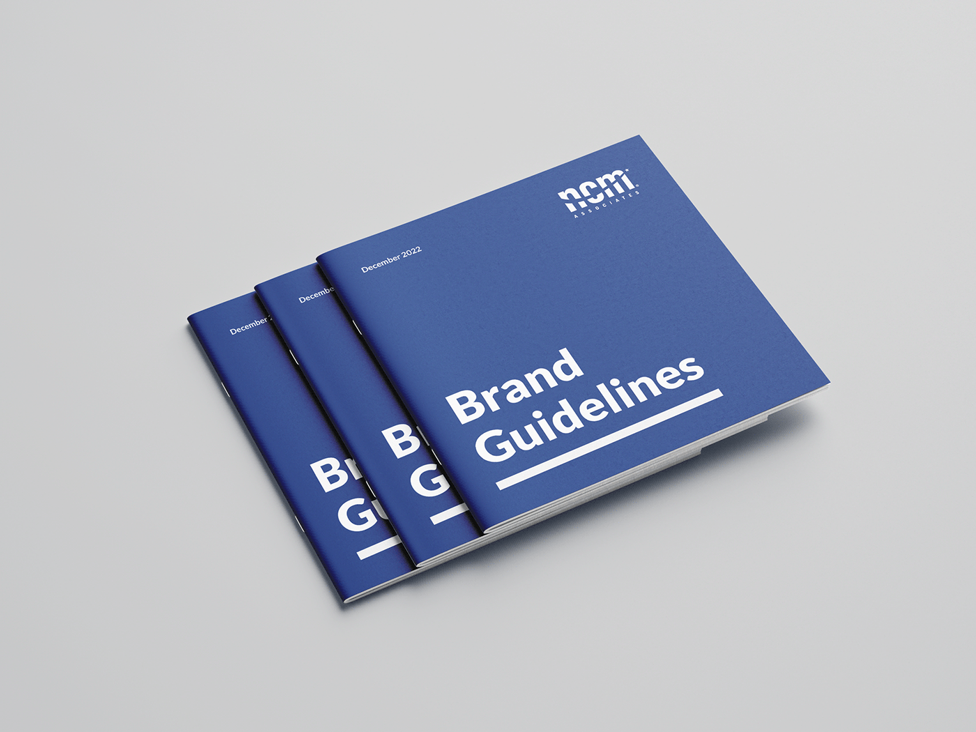 brand guide brand guidelines brand refresh branding  Collateral flyers