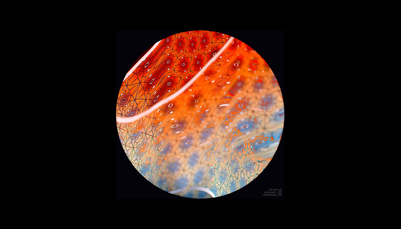 mitosis Cell cells visual aesthetics Esthetics anatomic microscope microscopic pattern photomanipulation
