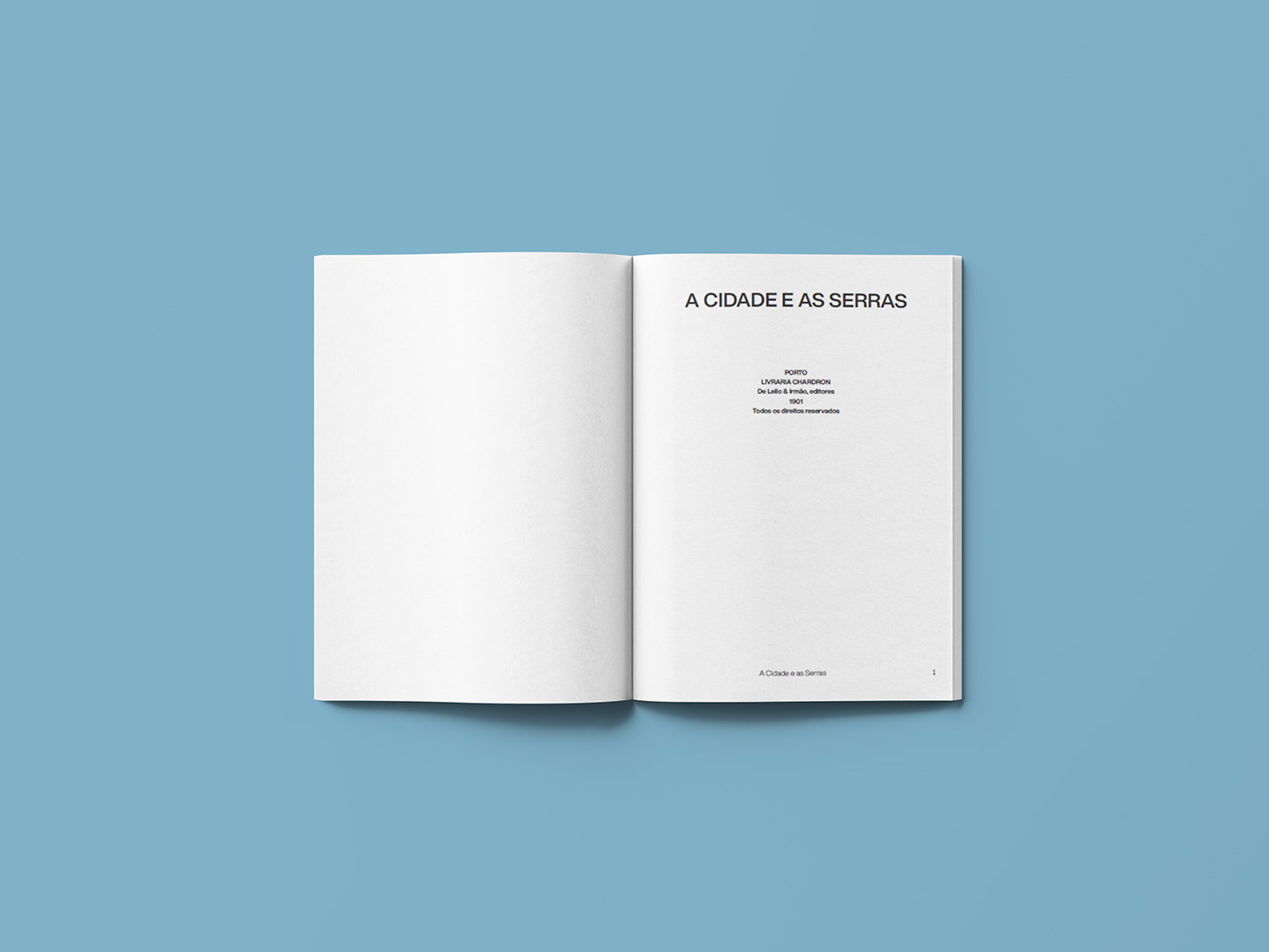 book design editorial editorialdesign graphicdesign pantone typo typography  