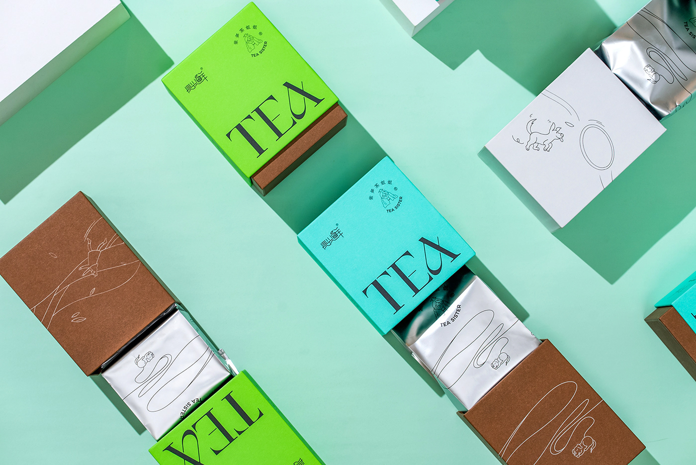 gift box ILLUSTRATION  package design  tea Tea Packaging