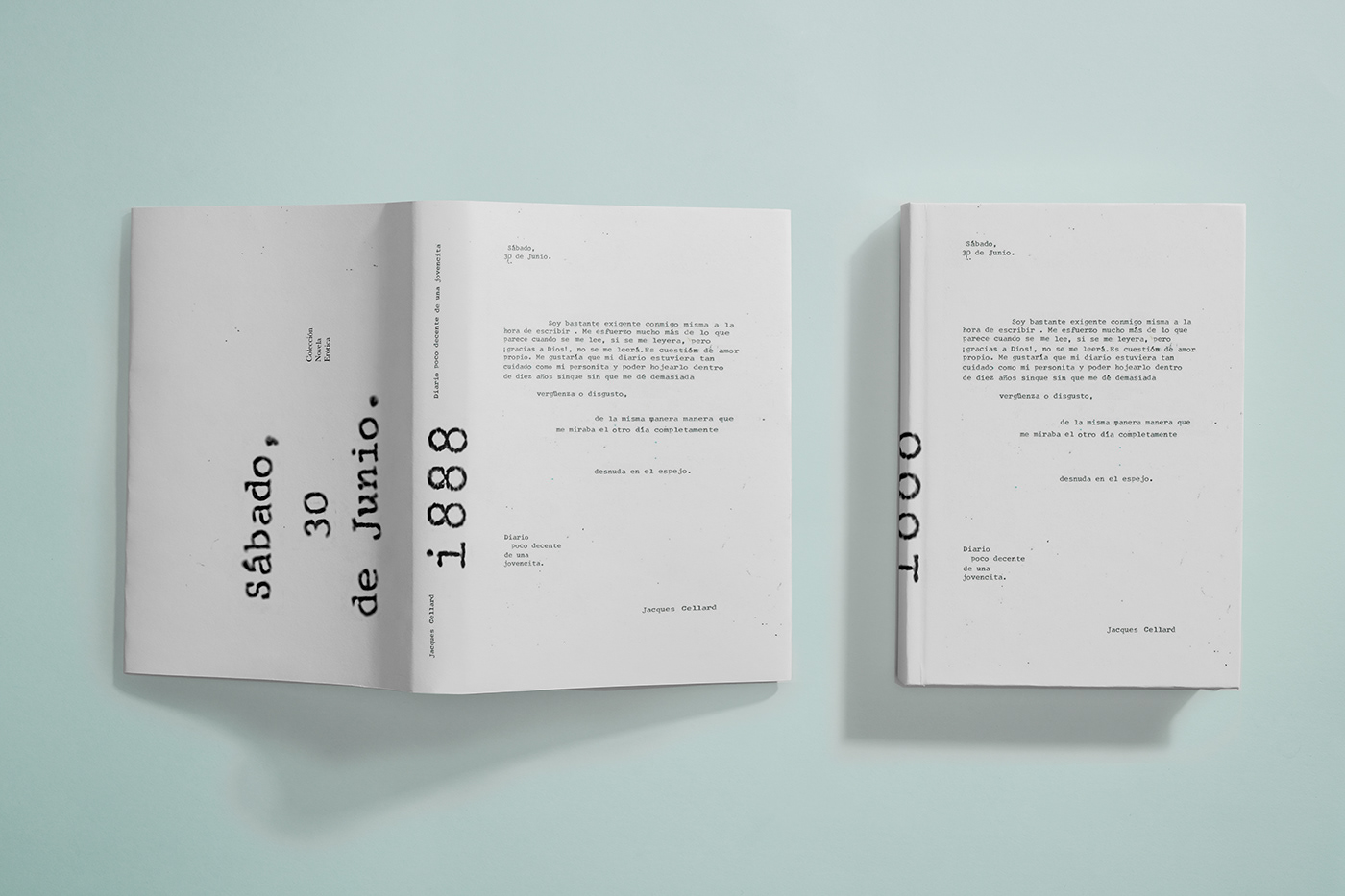 colección diario íntimo Diseño editorial libro Novela puesta en página sistema texto tipografia