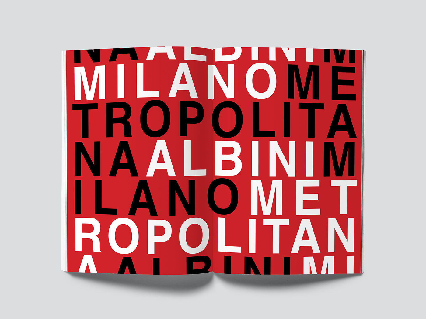 metro milan graphic graphics ILLUSTRATION  magazine Italy fanzine InDesign Project