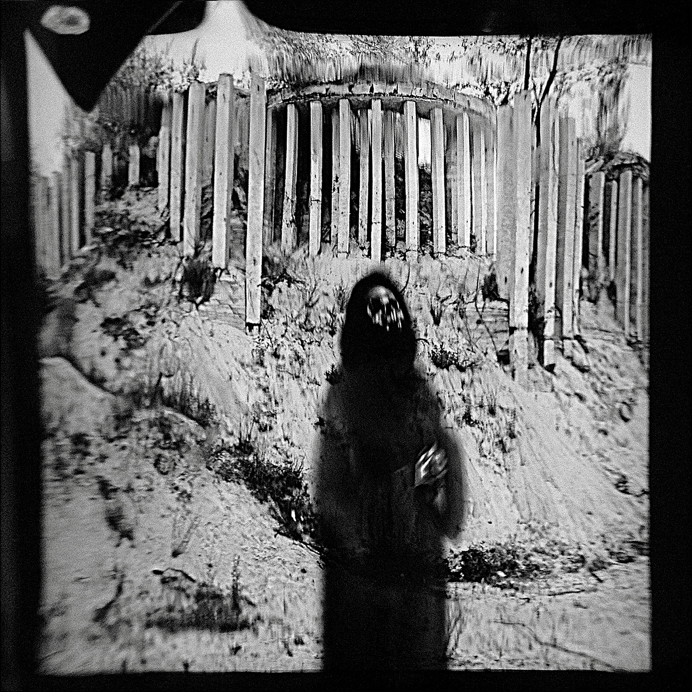 skull owl dark black gothic davidovsky symbolism surrealism