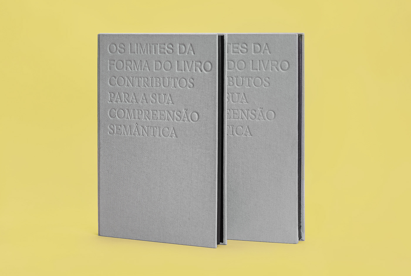 book editorial design  form of the object semantics type