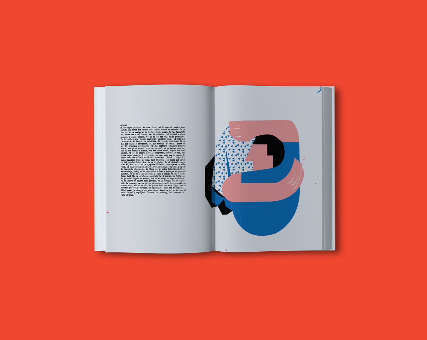 book Bookdesign ILLUSTRATION  red house raymond queneau graphic design 