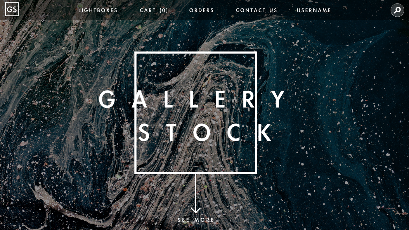 branding  Gallery Stock UI/UX adobexd Web Design 