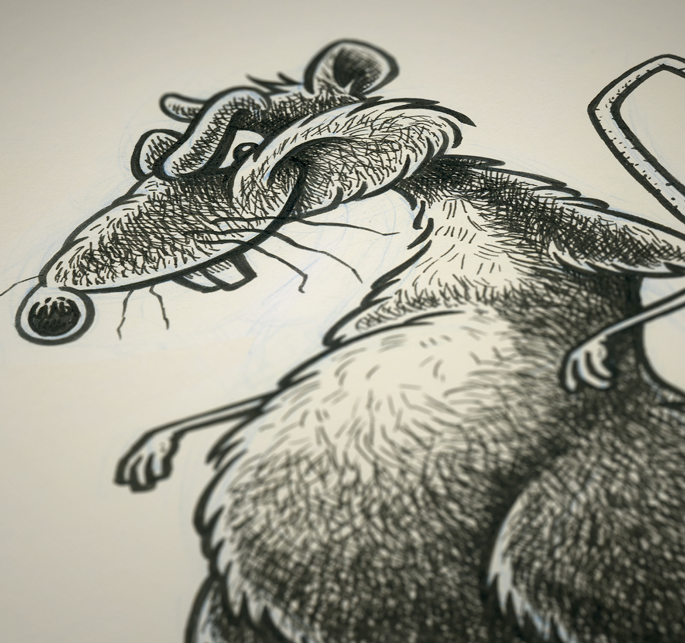 #inktober2020 inktober mouse rat rat-a-tat-tat ratt rodent sewer rat zach winegar