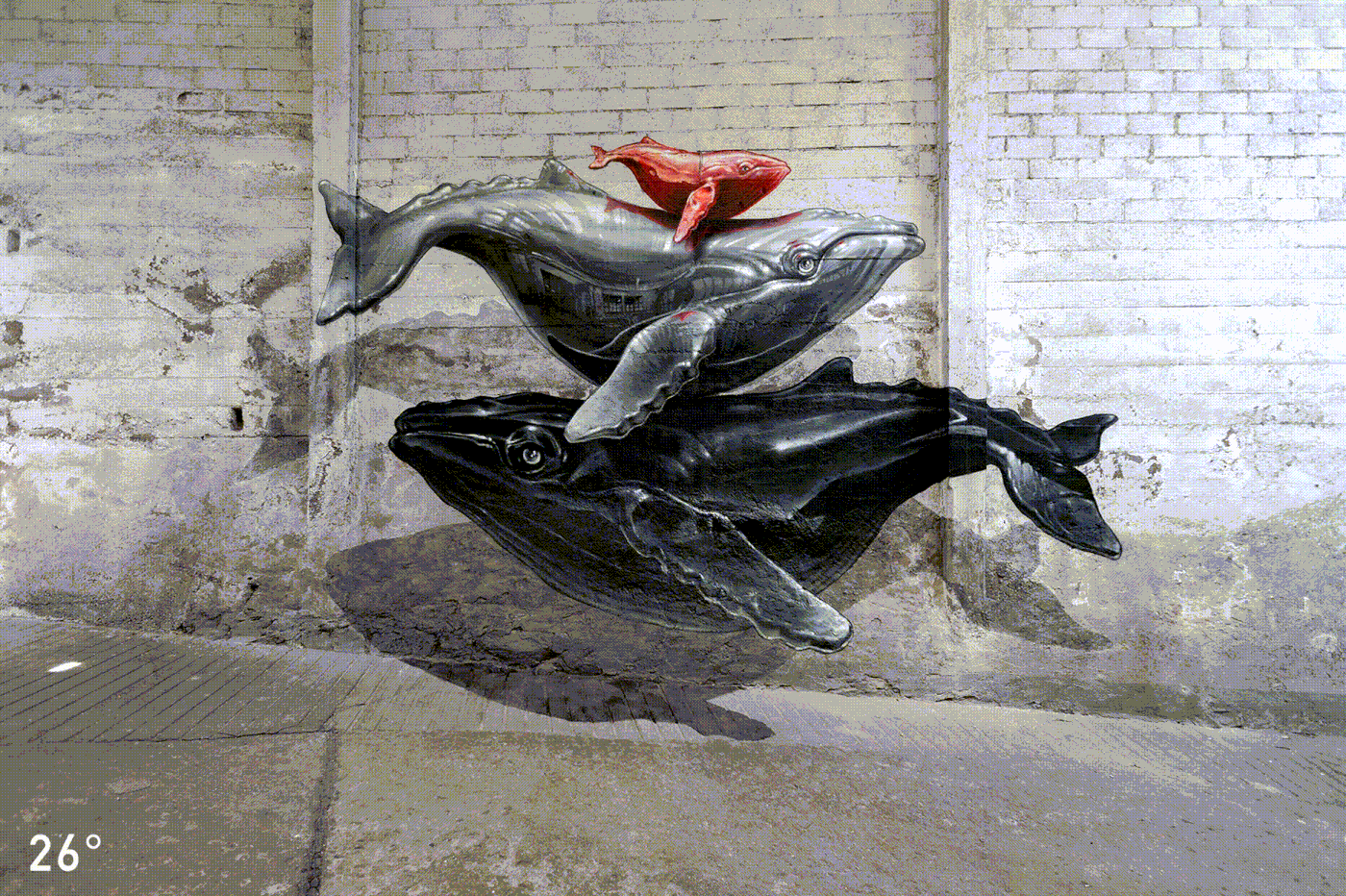 celsius thermochromic Mural nevercrew Whale lugano Switzerland temperature