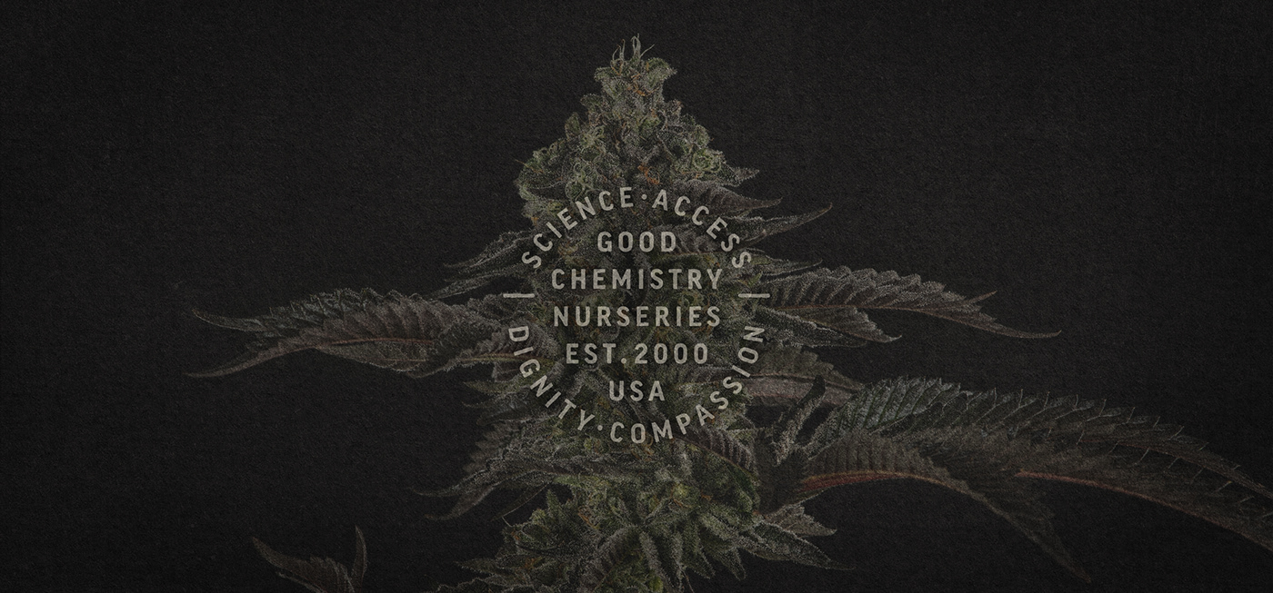 branding  Packaging pattern Icon Environment design cannabis advertisment typography  