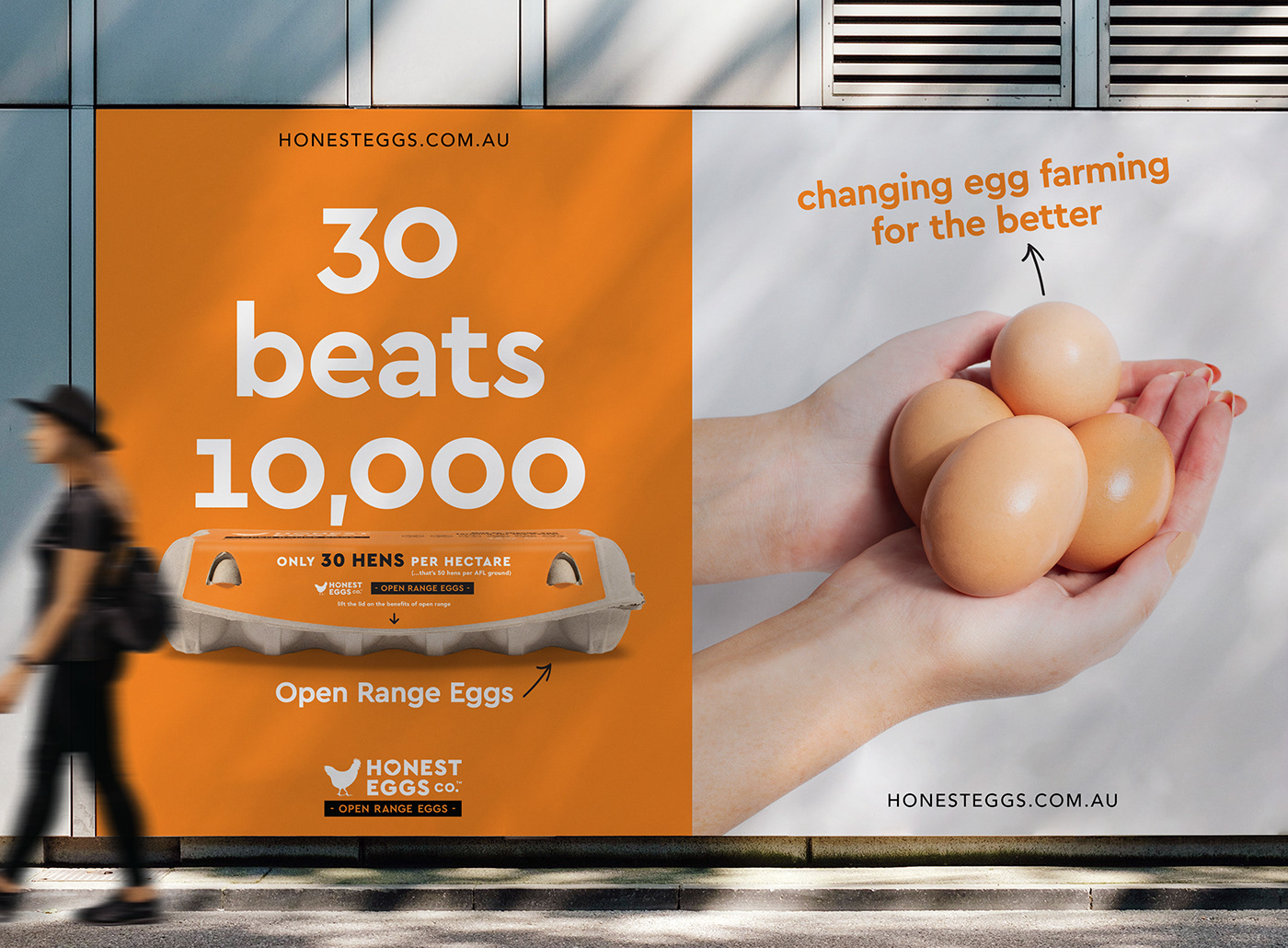 Advertising  art direction  branding  campaign Creative Direction  eggs farming graphic design  Honest Eggs Open Range Eggs