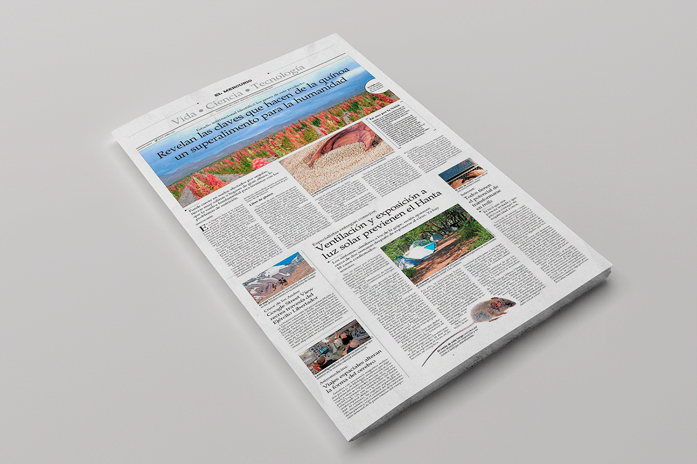 diagramación Diseño editorial diario editorial editorial design  Layout newspaper print
