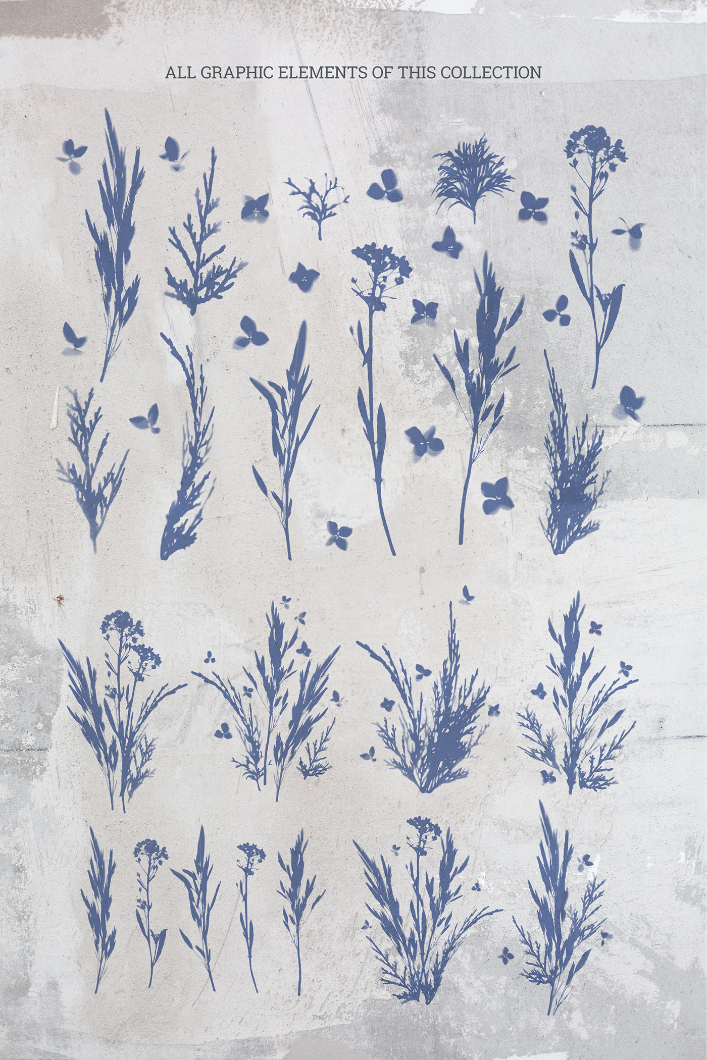 background blue print cyanotype floral Flowers navy pattern plants print sunprint