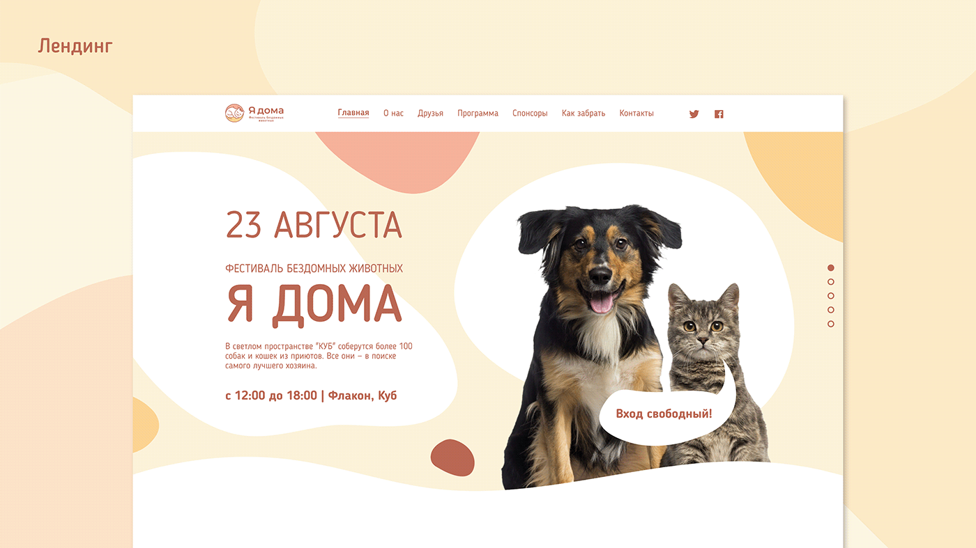 brand brand identity cats concept graphic design  indentity logo visual коты animal