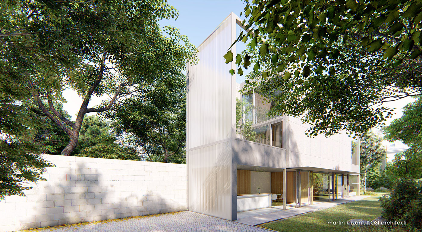 house concrete wood glass minimalistic narrow