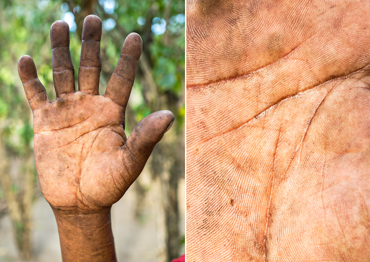 hands africa people earth Saudi Arabia lebanon palm tribe