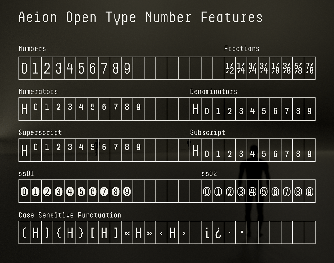 open type features of anion font