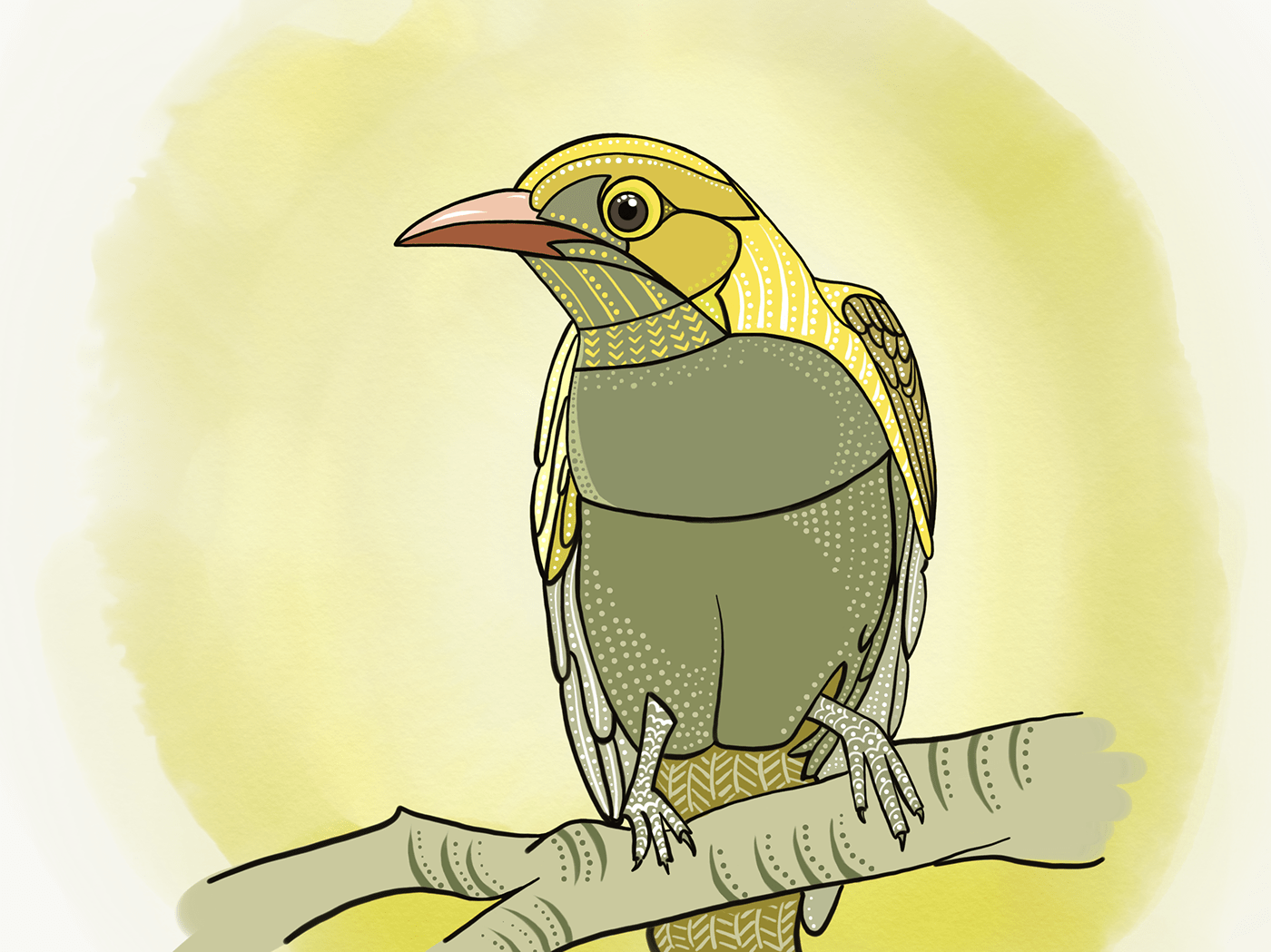 Drawing  AdobeSketch bird aves poland