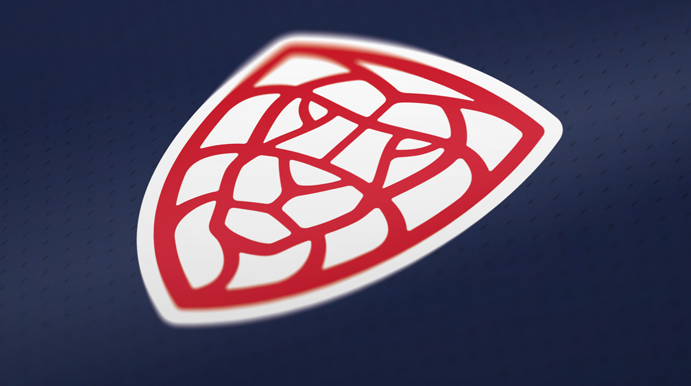 identity sport Czech floorball lion Medal logo visual dynamo brand