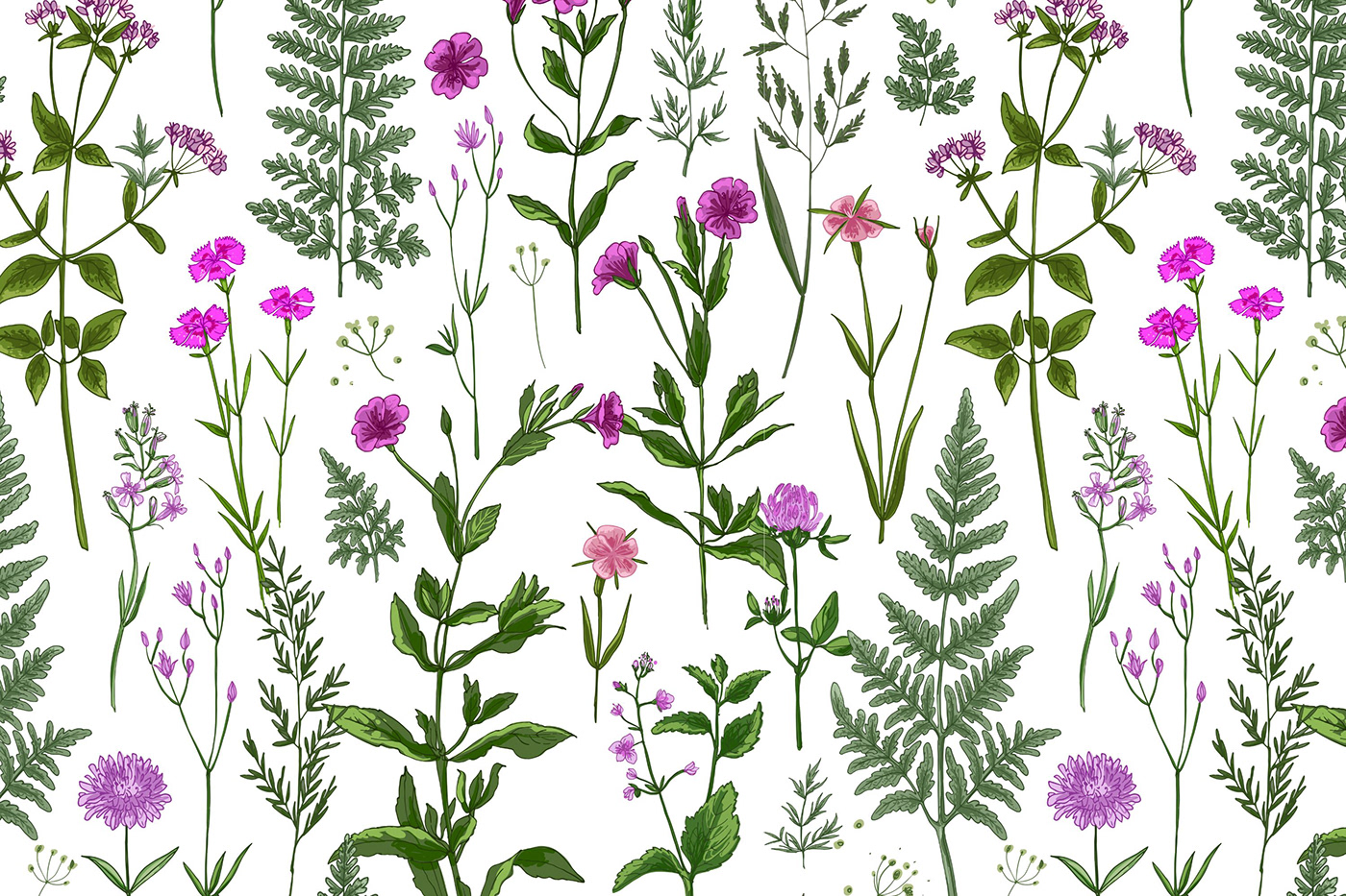 clipart Digital Art  digital illustration Drawing  Flowers Nature png sketch vector wild herbs