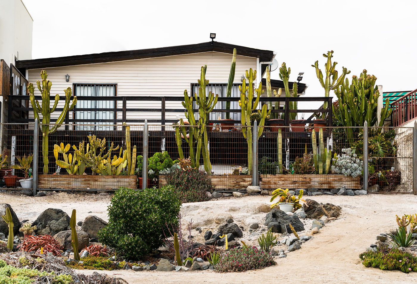 architecture cactus exterior house Nature Photography  plants sea Travel travel photography