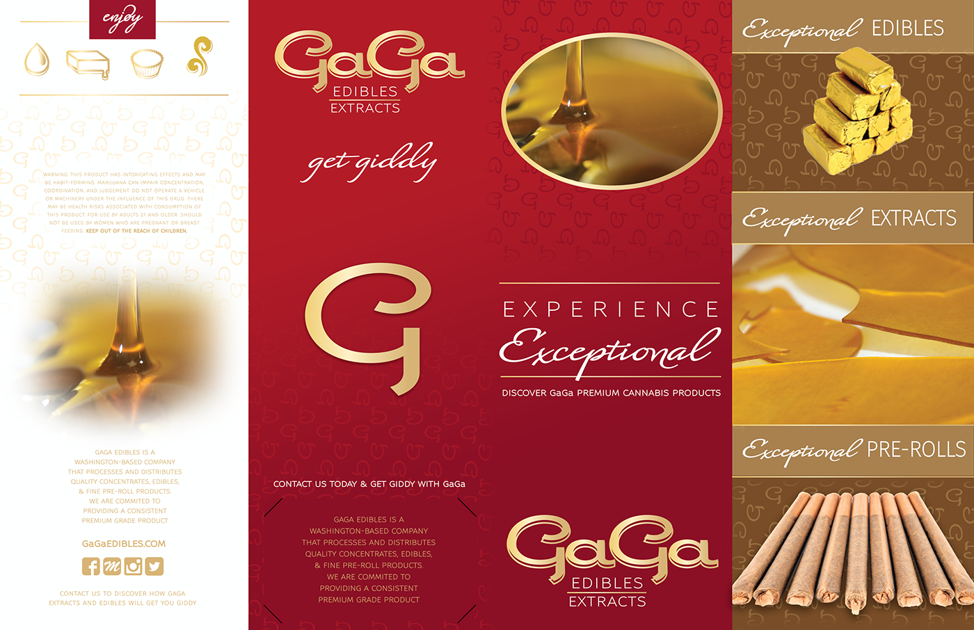 brochure graphic design  branding  cannabis Advertising  marketing  