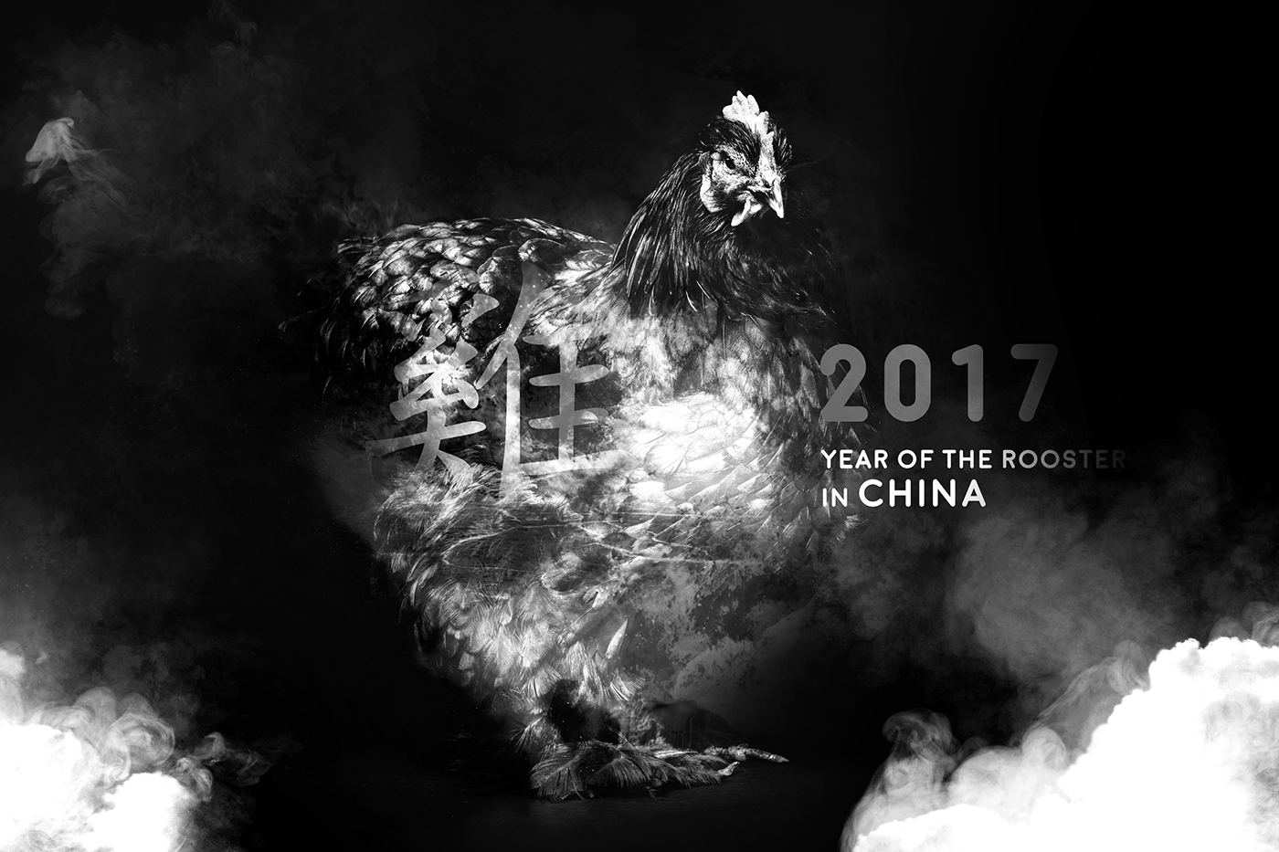Rooster year2017 art direction people china zodiac Love support photoshop