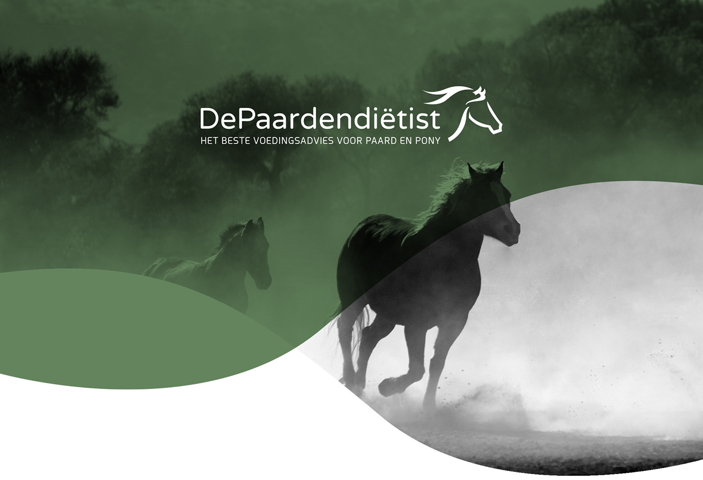 Logo Design brand identity branding  identity horse horses paarden Dietist Webdesign paardendietist