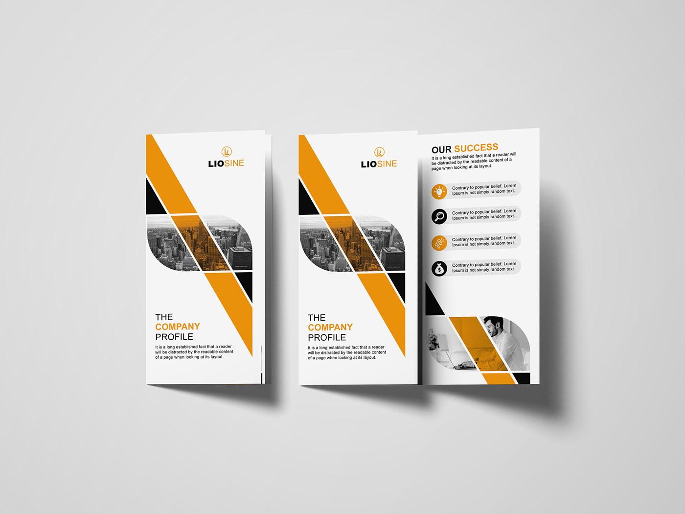 brochure fyler graphic design  leaflet professional printdesign marketing   corporate branding  thifold brochure