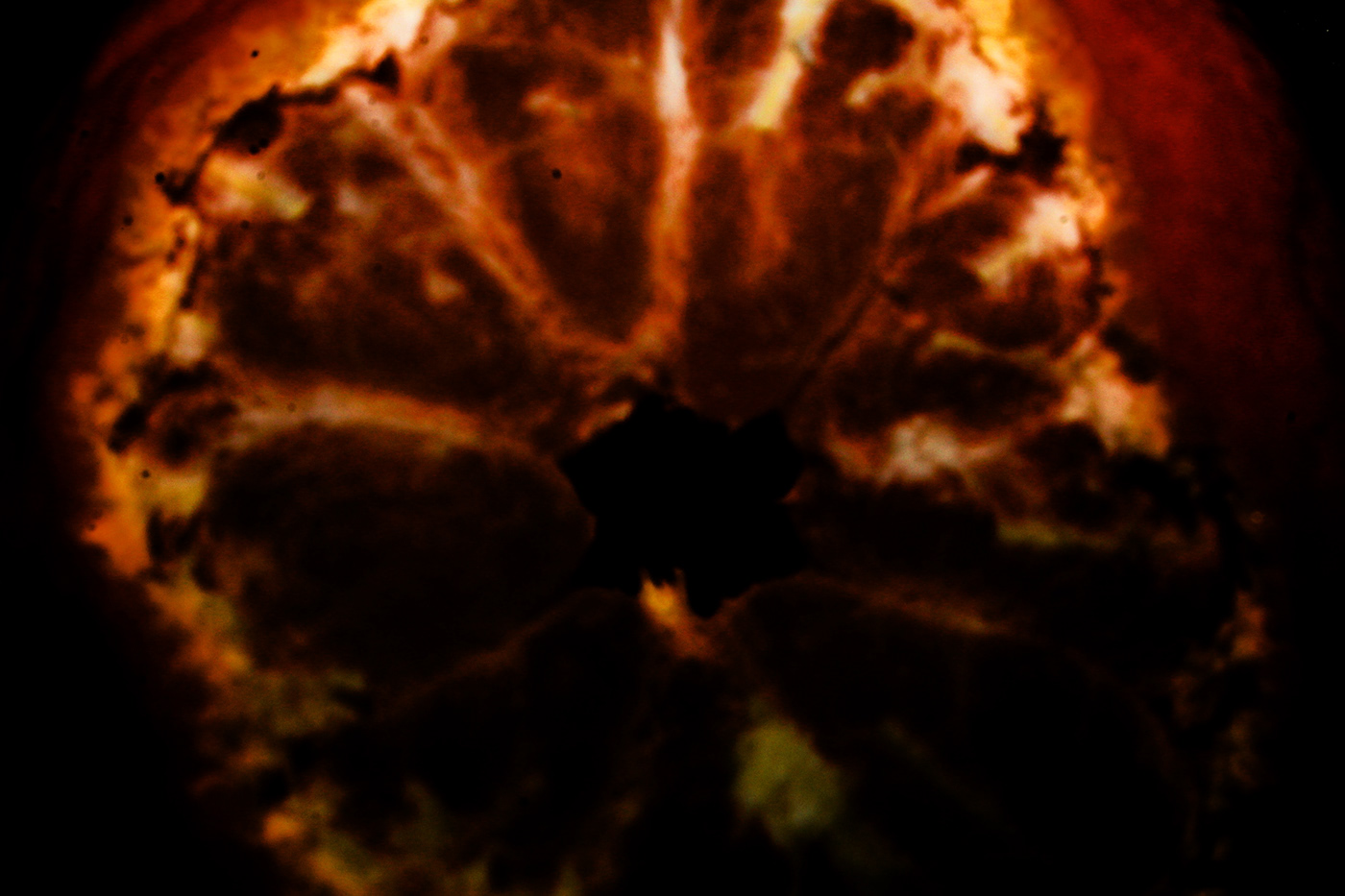 Photography  shape art shadow light texture Fruit mandarin Art Design