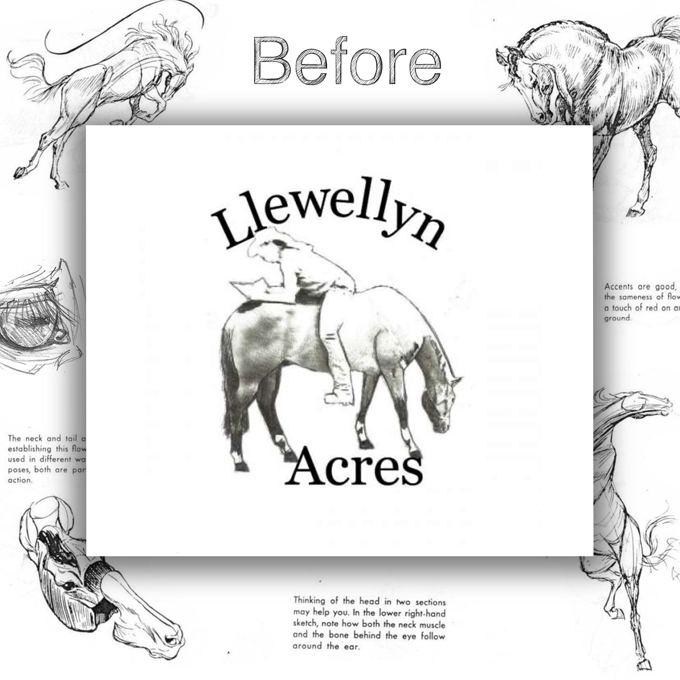 art behancereviews design horse logo pencil Procreate redraw