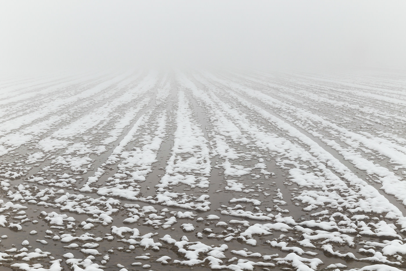 snowy field with diminishing perspective toward nowhere