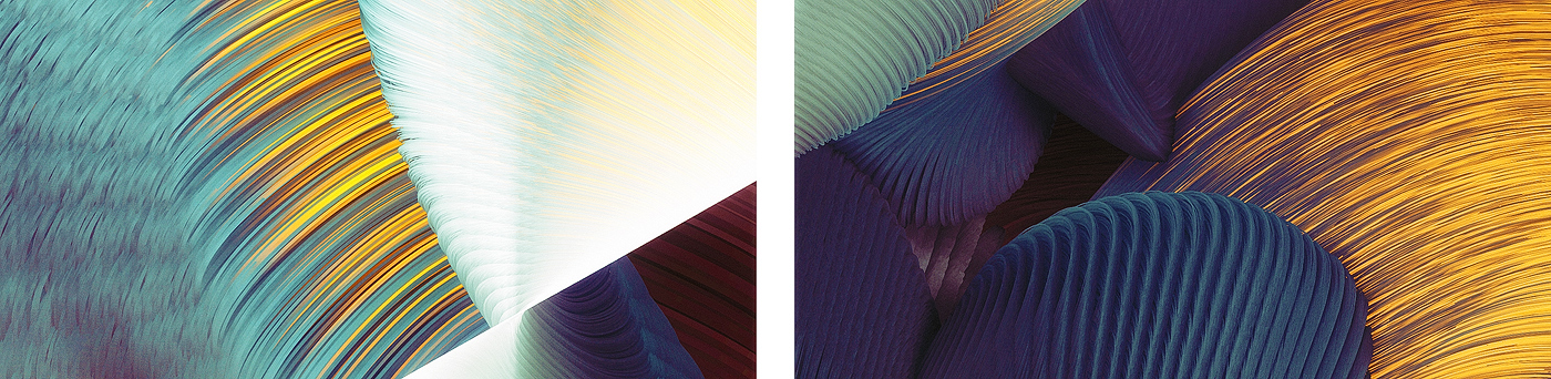 plumes feathers brush strokes birds striations geometry generative wallpaper