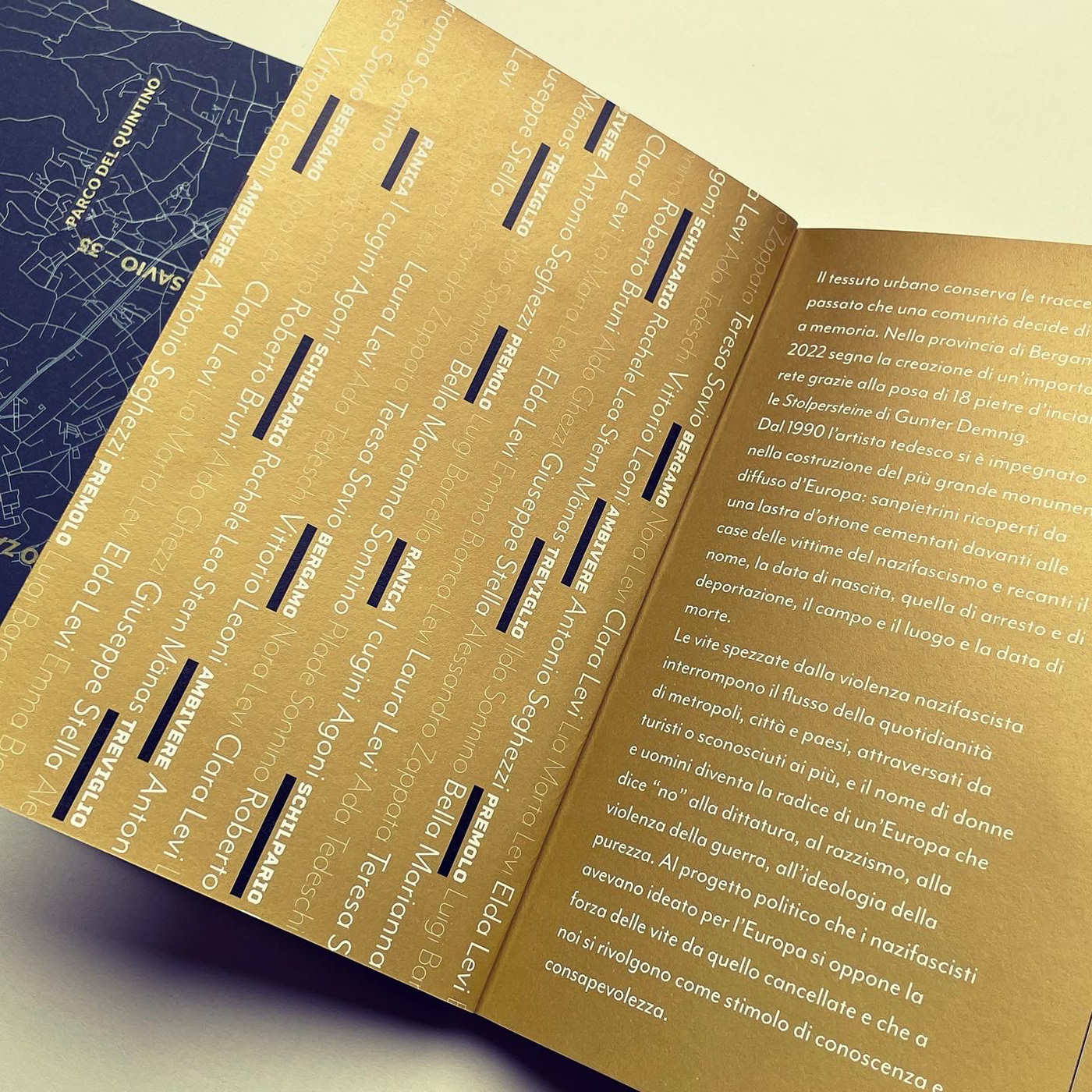 book book design editorial identity typography   visual design