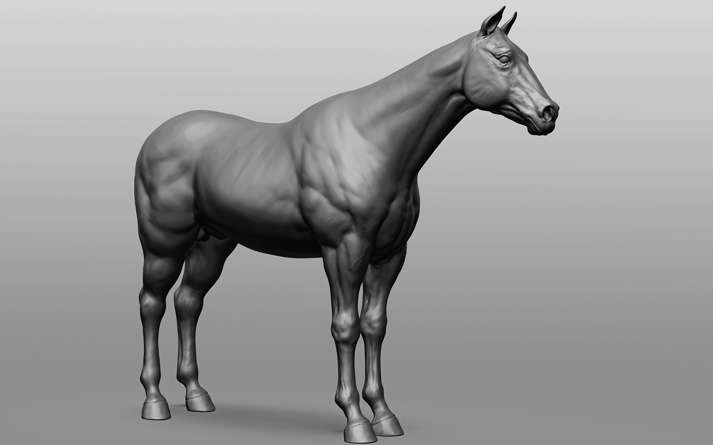 3D animal animals horse Horse racing horse3d horses Render Sculpt Zbrush