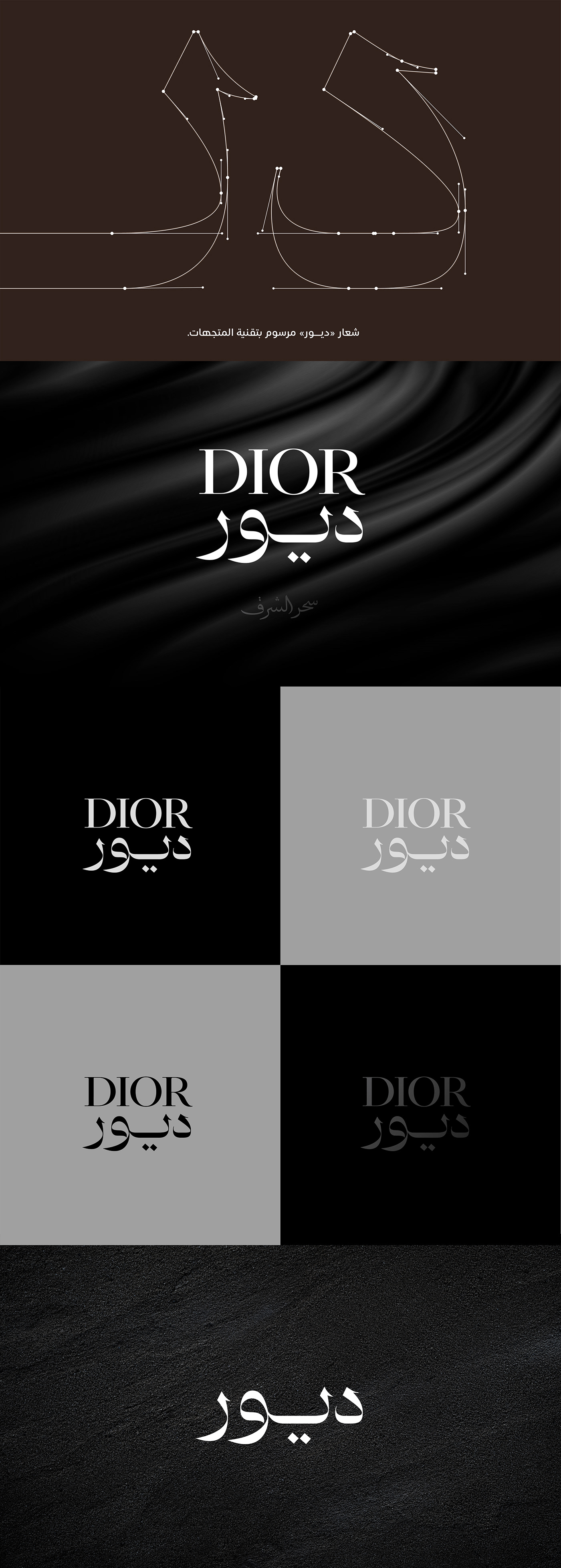 adobe illustrator Logo Design Logotype Brand Design identity brand identity Dior