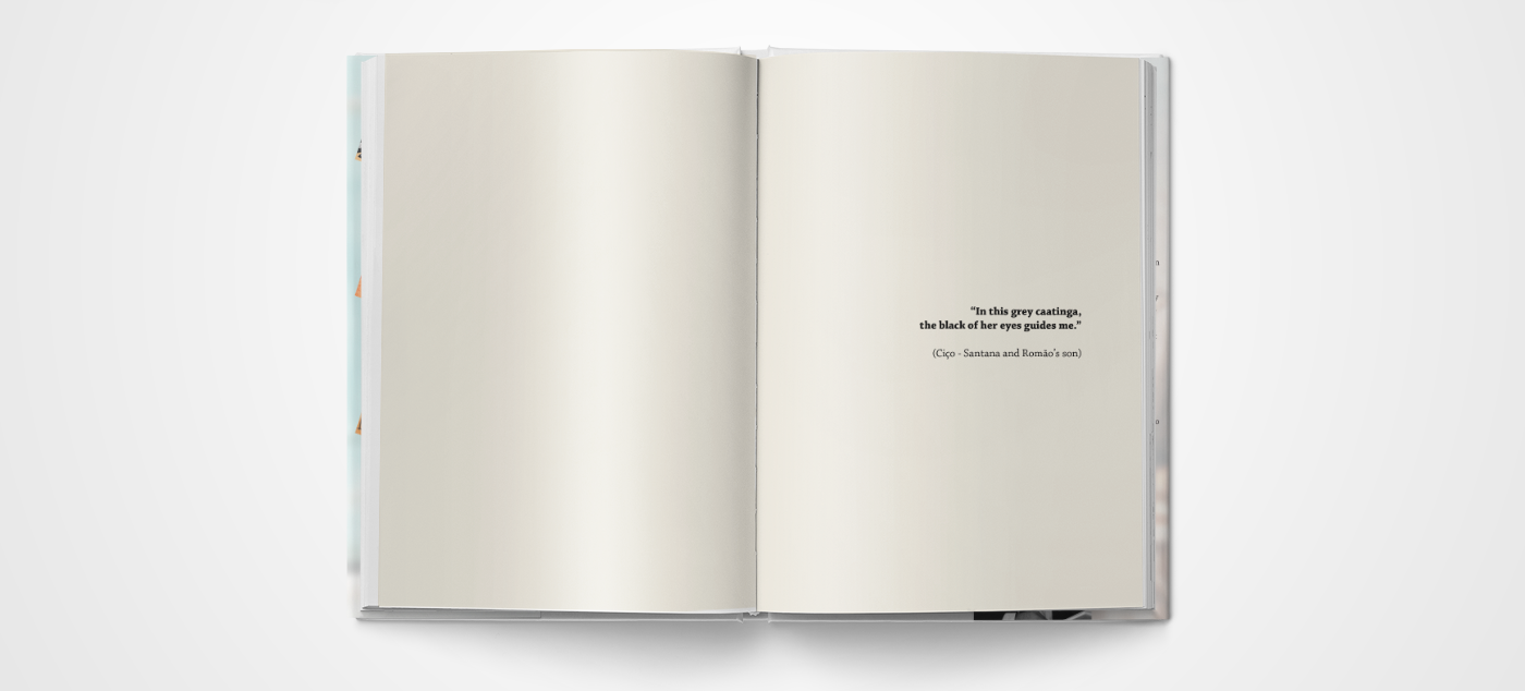 capa de livro diagramação de livro editorial impressão gráfica Livro
