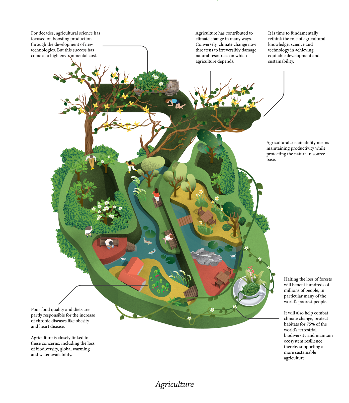 Nature environment infographic map human climate forest Plant Tree  ecosystem