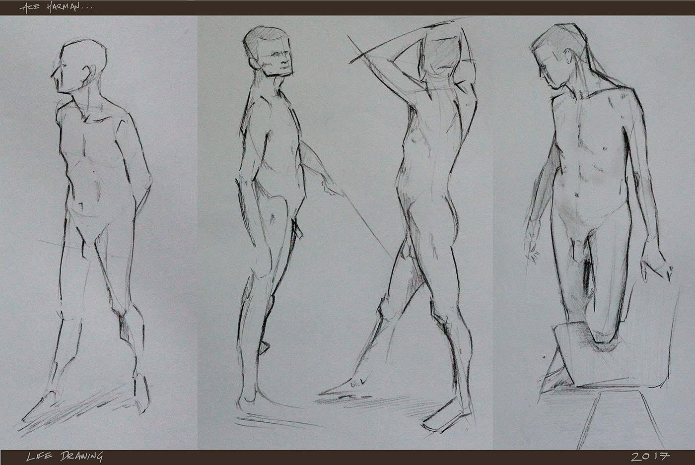 progression anatomy ILLUSTRATION  Drawing  life studies