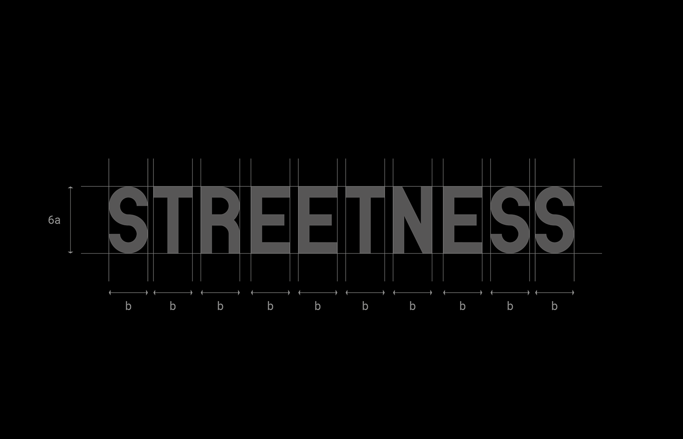 logo Logotype branding  streetwear Street shop streetness sign clothes katowice