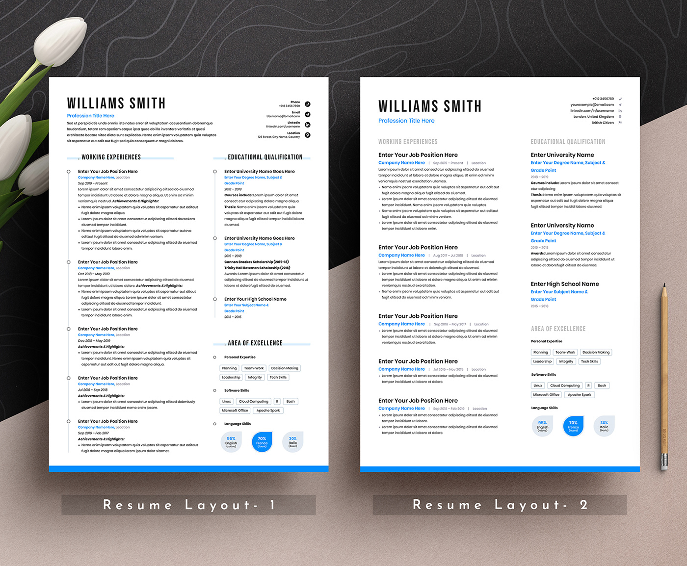 Apple Pages biodata clean creative Curriculum Vitae cv design modern professional word resume free resume template