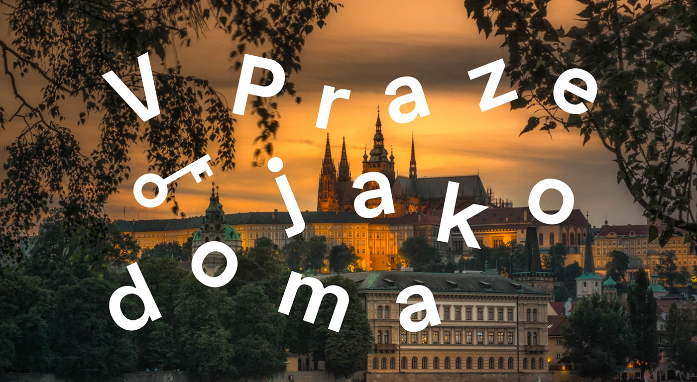Brainz branding  Czech Filip Cerny graphic design  logo poster prague typography   Web Design 
