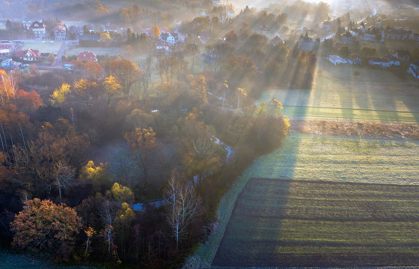 autumn dron drone jesień Krajobraz Landscape małopolska poland polska trees