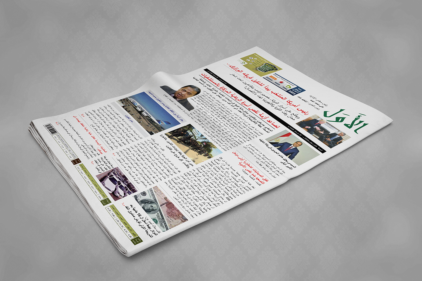 journal typography   typo Advertising  advertise newspaper daily