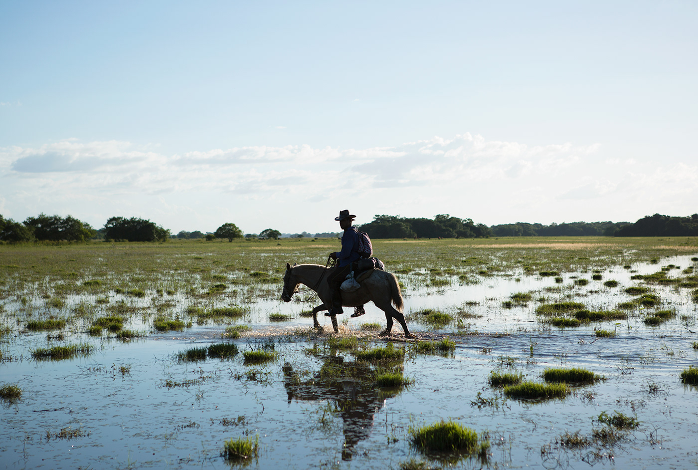 buffalos Cattle ranch river Island marajo Brazil Documentary  reportage storytelling  