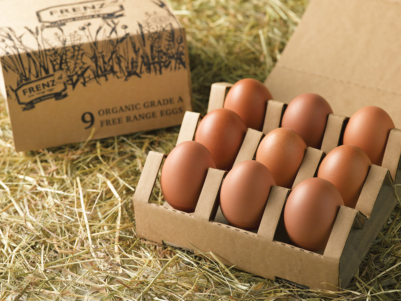 egg Packaging Advertising  Photography  product shot design recycle Food 