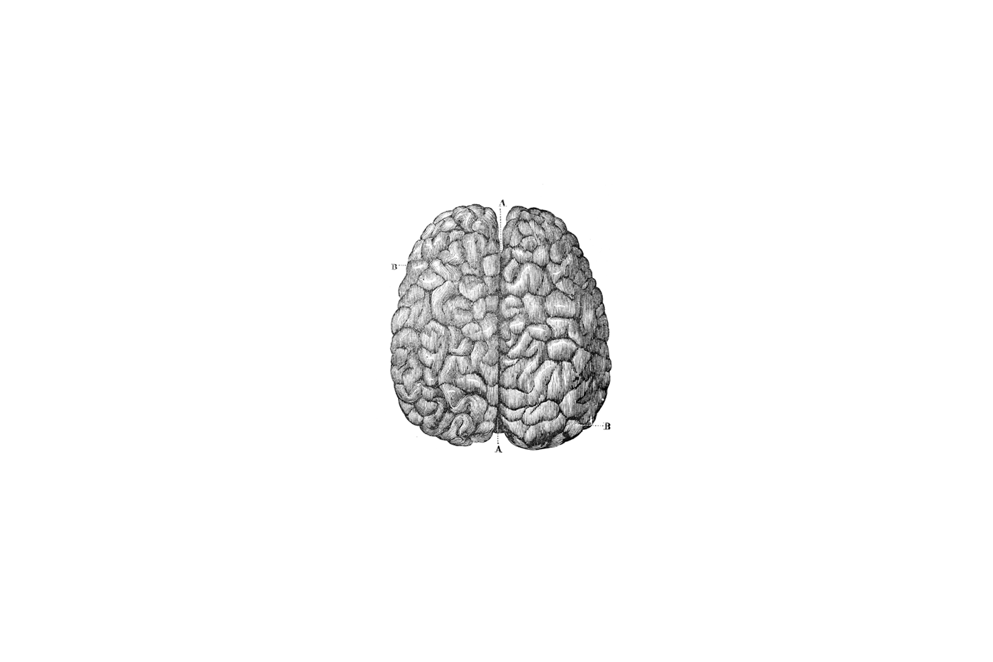 brain brand Health kids mental neurology online Psychiatry psychology teen