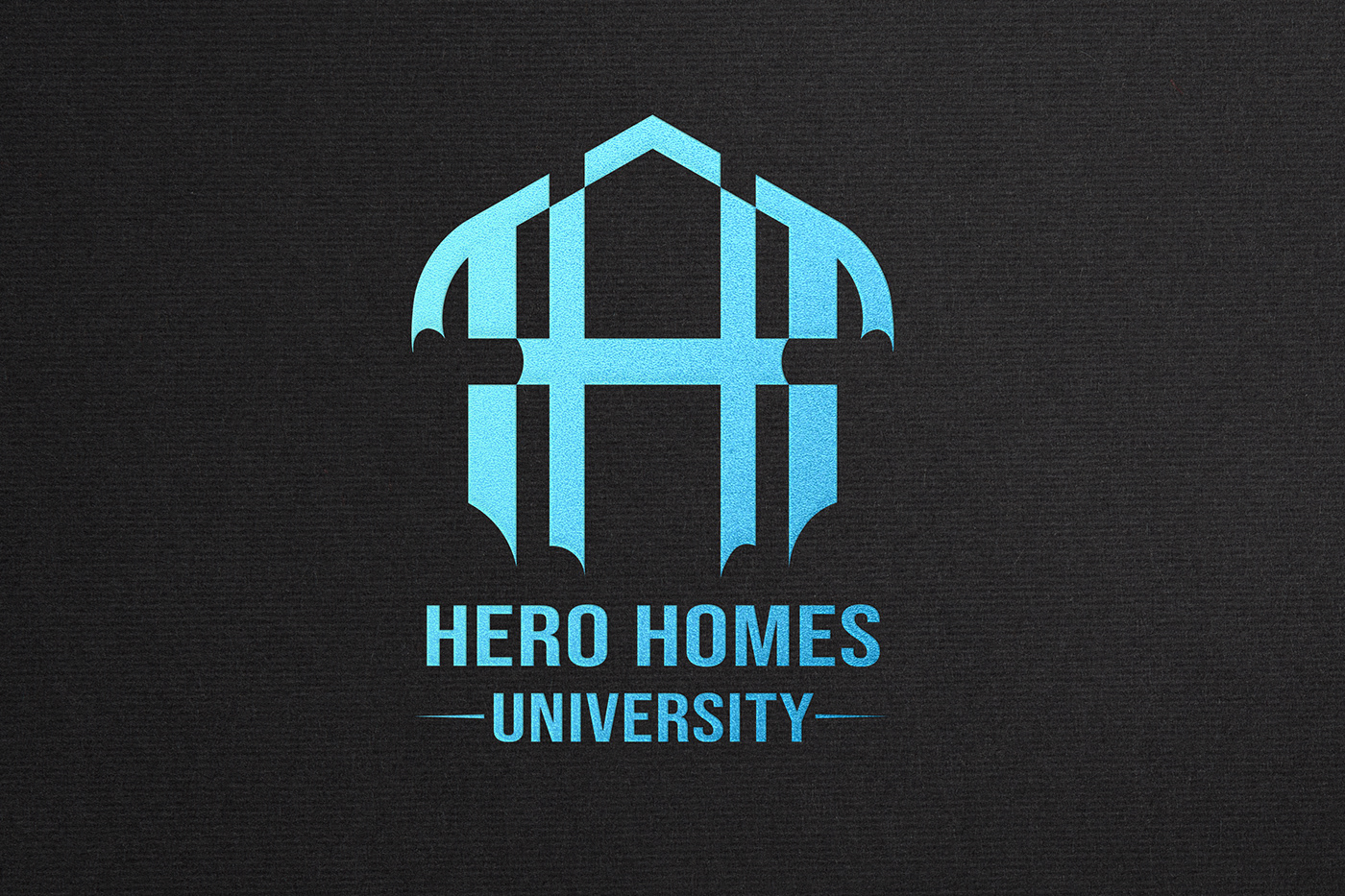 Logo Design vector logo creative logo simple Illustrator graphics vector Modern Logo Hero homes University Logo