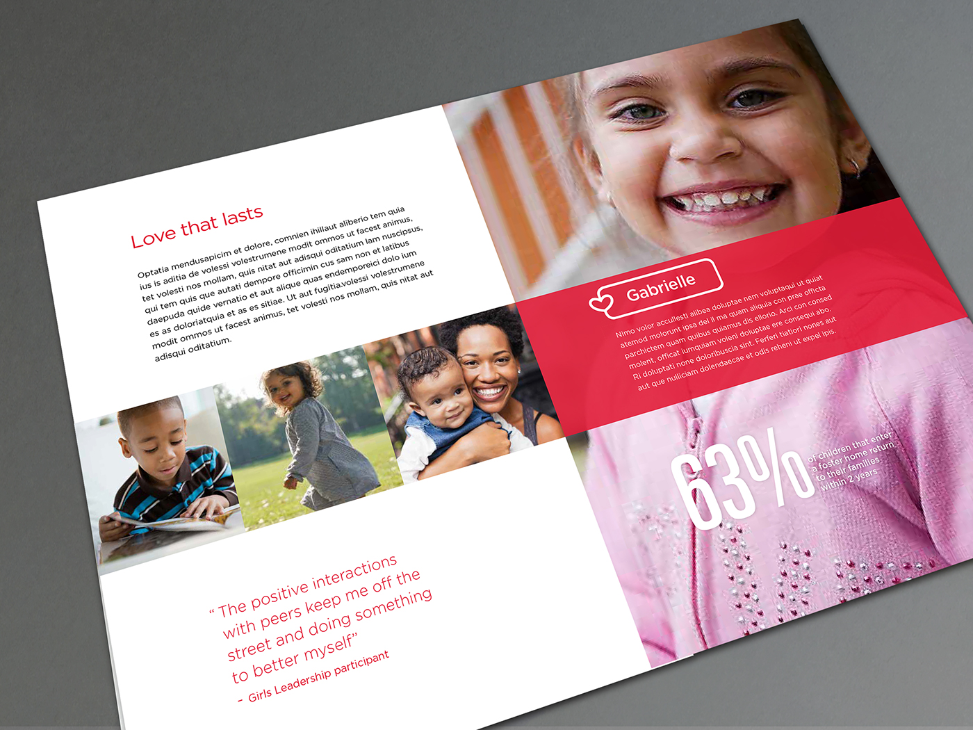 print design  non-profit donation brochure brochure art direction 