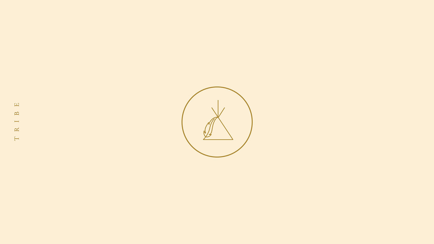 clean feather highlights Icon icon set icons instagram instagram icons minimalistic social media